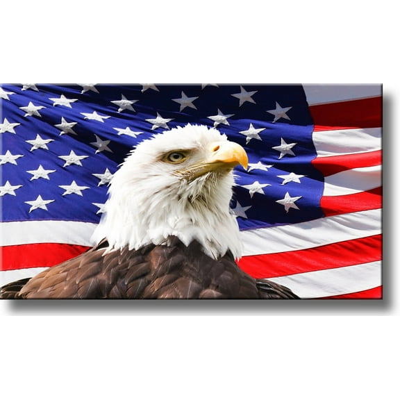 American Eagle and US Flag Wall Picture on Stretched Canvas, Ready to Hang!.