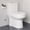 2133 Big Hole, variant on HOROW 1.28GPF Round Bathroom Compact One Piece Toilet Elongated Dual Flush Water Closet 12" Rough-in