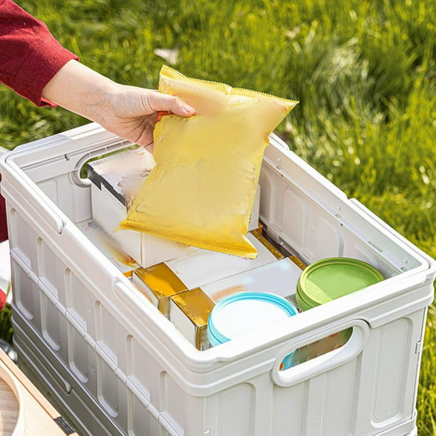 Lidded 2024 storage bin