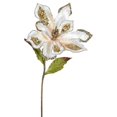 thumbnail image 1 of Tige de Fleur de Magnolia Or Rose&44; 22 & 9 Po., 1 of 1