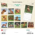 thumbnail image 2 of Rhodesian Ridgebacks | 2025 12x24" (Hanging) Square Wall Calendar | BrownTrout, 2 of 9