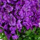 thumbnail image 4 of KAKOWELY 12Ud Guirnalda De Flores Wisteria Artificial Morada Para De Hogar Y Eventos, 4 of 8