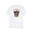 thumbnail image 1 of Harry Potter Mens Gryffindor Cotton T-Shirt, 1 of 5
