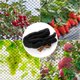 thumbnail image 2 of Red para cerca de pájaros red protectora de jardín de malla de rejilla de 36 cm resistente al desgarro negra para viñedos para exteriores ANGGREK Otros, 2 of 7