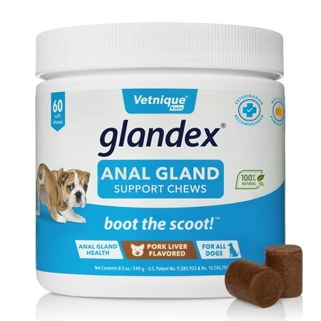 UPC: 0759170149841 | Glandex Anal Gland Soft Chew Treats with Pumpkin for Dogs with Digestive Enzymes & Probiotics  60ct Pork Liver Chews