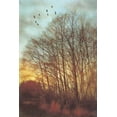 thumbnail image 2 of Amy Melious 13x18 White Modern Wood Framed Wall Art Titled - Winter Light II, 2 of 5
