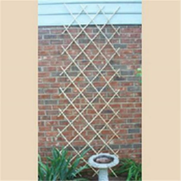 Expanding Bamboo Trellis