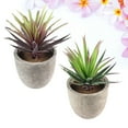 thumbnail image 1 of unbranded 2Ud Plantas Suculentas Artificiales En Maceta Para Decorar Estantes Y Muebles, 1 of 7