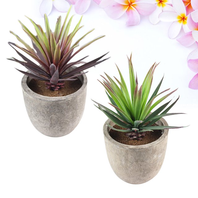 unbranded 2Ud Plantas Suculentas Artificiales En Maceta Para Decorar Estantes Y Muebles