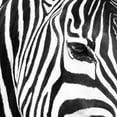 thumbnail image 3 of Michal, Susan 20x20 Black Modern Framed Museum Art Print Titled - Zebra Up Close, 3 of 5