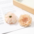 thumbnail image 1 of Cabeza de Flor de Seda Decoración Floral Artificial | Rosa Peonía de Tela Realista | Material de Manualidades Falsas para DIY | 5.5cm | Rosa, Vino, Verde, Amarillo | Paquete de 10, 1 of 6