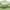 Sage, variant on Ruthy's Textile Queen 500 Thread Count Cotton bed sheets set Hotel Luxury- Extra Soft -Easy Fit White