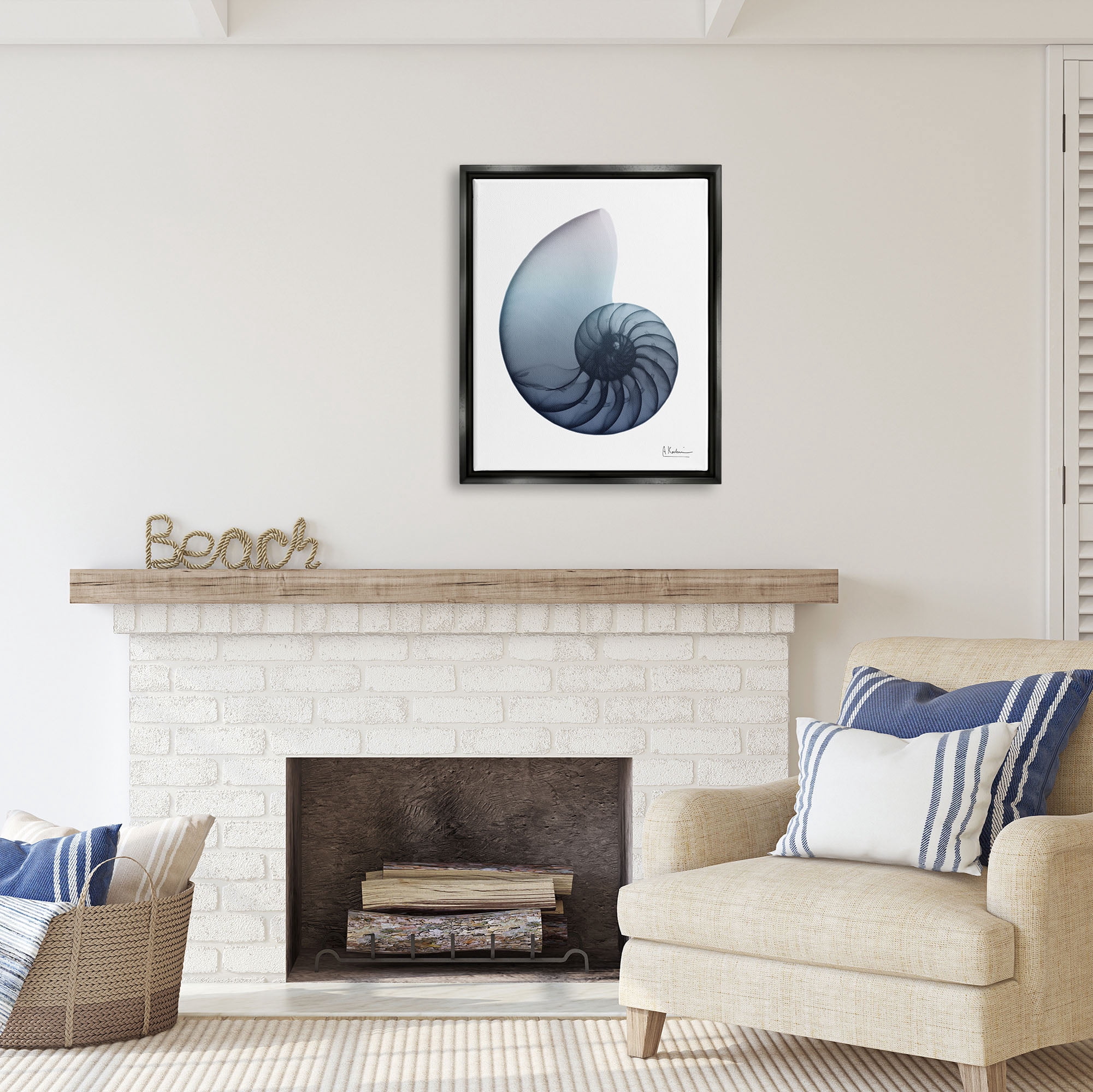 Stupell Industries Contemporary Nautilus Shell Abstract Photography Black Floater Framed Art Print Wall Art, 25 x 31