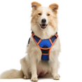 thumbnail image 1 of Arnés para perros Rabbitgoo sin tirones, ajustable, azul y naranja M, 1 of 6