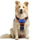 thumbnail image 1 of Arnés para perros Rabbitgoo sin tirones, ajustable, azul y naranja M, 1 of 6