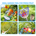 thumbnail image 6 of Allnice Fruit Picker Tool with Light-Weight Aluminum Telescoping Pole and Basket, 6 of 6