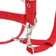 thumbnail image 4 of Horse Fly Control, Horse Halters, 6mm Training Halter Thickened For Driving Leading, 4 of 8