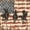 Brown Black, variant on Manfei Mallard Duck Twin Comforter Sets,Rustic Farmhouse Bedding Set,Pixeled Camouflage Decor,Black Reversible,2-Piece,1 Comforter and 1 Pillowcase