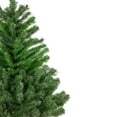 thumbnail image 4 of Northlight Medium Two-Tone Colorado Spruce Artificial Christmas Tree - 5' - Unlit, 4 of 6