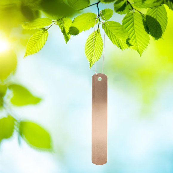 COSMOBETTY 30Ud Etiquetas De Plantas De Color Oro Rosa Para Jardín Resistentes Y Duraderas