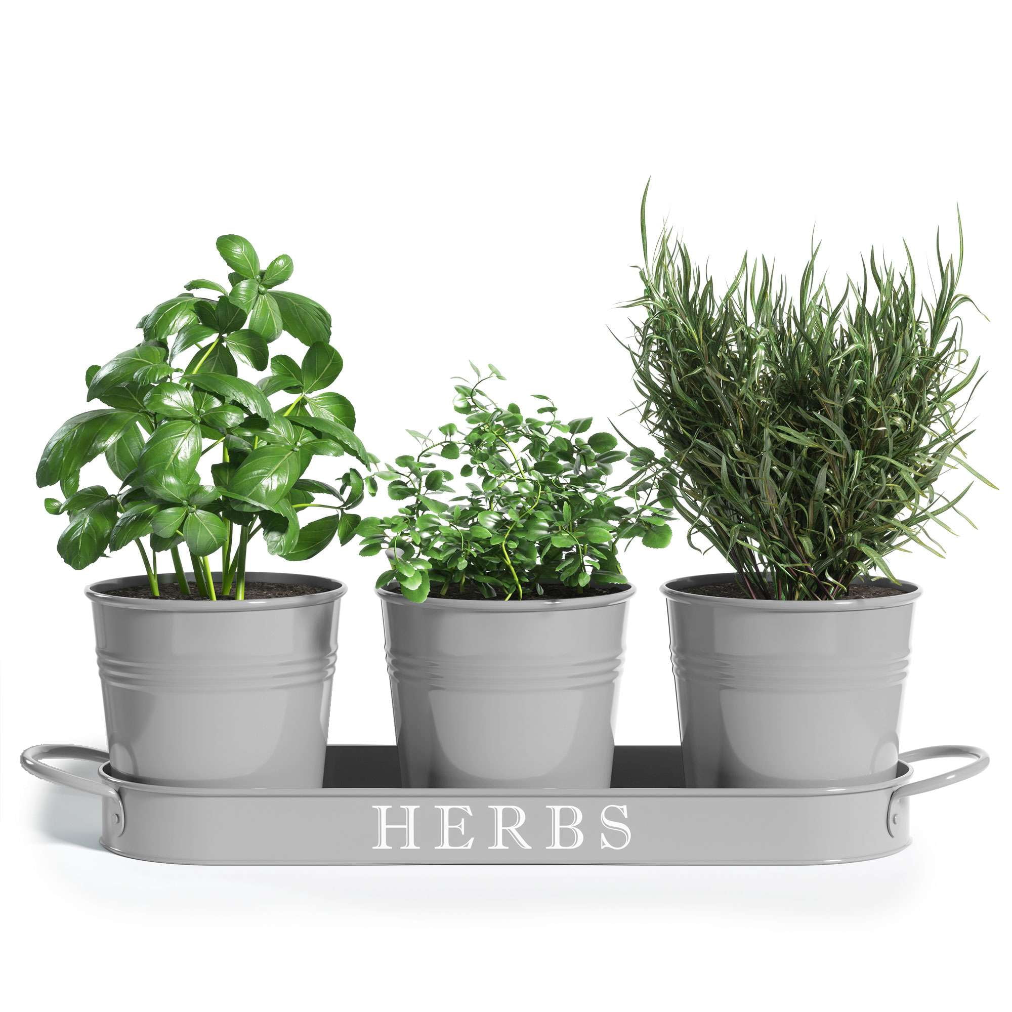 Barnyard Designs Farmhouse Herb Garden Planter Indoor Planter Set with
