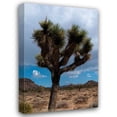 thumbnail image 1 of Erin Berzel 23x32 Gallery Wrapped Canvas Wall Art Titled - Joshua Tree II, 1 of 4