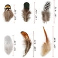 thumbnail image 6 of 180PCS Assorted Feathers, 6 Styles Natural Chicken Feathers for DIY Crafts Earring Wings Dream Catcher Carnival Party Decoration, 6 of 7