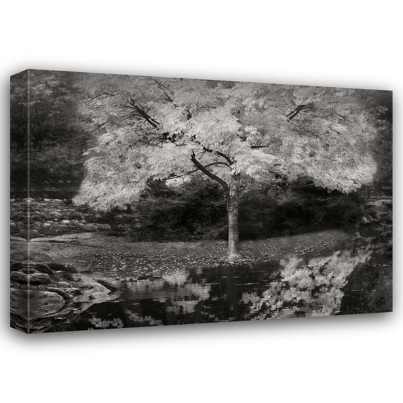 Vitaly Geyman 32x24 Gallery Wrapped Canvas Wall Art Titled - Autumn Reflections III BandW