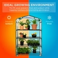 Best Choice Products 40in Wide 4Tier Mini Greenhouse, Portable Indoor