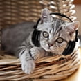 thumbnail image 3 of Olyre Mini Pet Headphones for Small Dogs Cats Stuffed Animals, Pets Stuffed Animals Fabric Dolls Dress up Headphone Models with Adjustable Headband for Party Favors Costumes Cosplay Photo Props, 3 of 8