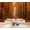 Color 1, variant on Autumn Forest Pathway Wallpaper Enchanting pathway lanterns colorful Peel and Stick Wall Murals 100"H x 144"W Removable PVC Wall Paper Self-Adhesive Wall Decor for Bedroom Living Room
