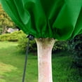 thumbnail image 6 of Reusable Plant Protector, Insulates from Frost, Blocks Pests, Easy On/Off Drawstring, 2x10m, 6 of 7