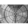 thumbnail image 2 of Schuster, Inge 14x11 Black Ornate Wood Framed with Double Matting Museum Art Print Titled - Look Up, 2 of 4
