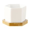 thumbnail image 2 of Hexagon Ceramic White Succulent Pots with Trays Plants Not Included Succulent Pots White Mini Ceramic Flower Planter Pot with Tray Plants Not Included,, 2 of 9