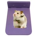 thumbnail image 1 of Small Animal Platform Funny Plastic Hamster Exercise Toy Hamster Play Platform, 1 of 10