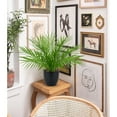 thumbnail image 7 of 15"Artificial Palm Plant Real Touch Faux Tropical Palm Tree in Black Pot Home Indoor Living Room Tabletop Balcony Decorations, 7 of 7