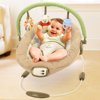 Disney - Winnie the Pooh Bouncer