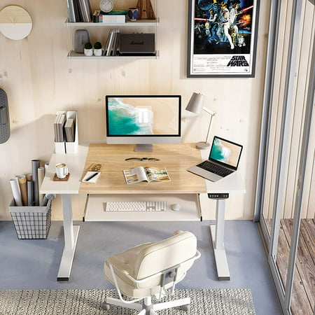 Dual Motor Height Adjustable Electric, Home Office Setup With Standing Desk Philippines