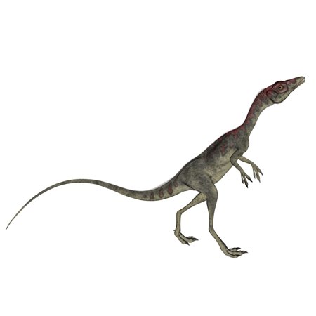 compsognathus skeleton