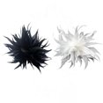thumbnail image 1 of Broche De Plumas Para Mujer, 2 Piezas, Decoración Para Boda, Halloween Baoblaze  Broche, 1 of 8