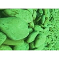 thumbnail image 1 of Ahgly Company Machine Washable Indoor Rectangle Transitional Neon Green Area Rugs, 8' x 10', 1 of 7