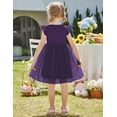 thumbnail image 4 of Oudiya Toddler Girls Lace Tutu Dress 3 Layer Tulle Ruffle Sleeve Summer Flower Girl Wedding Birthday Dress, 4 of 7
