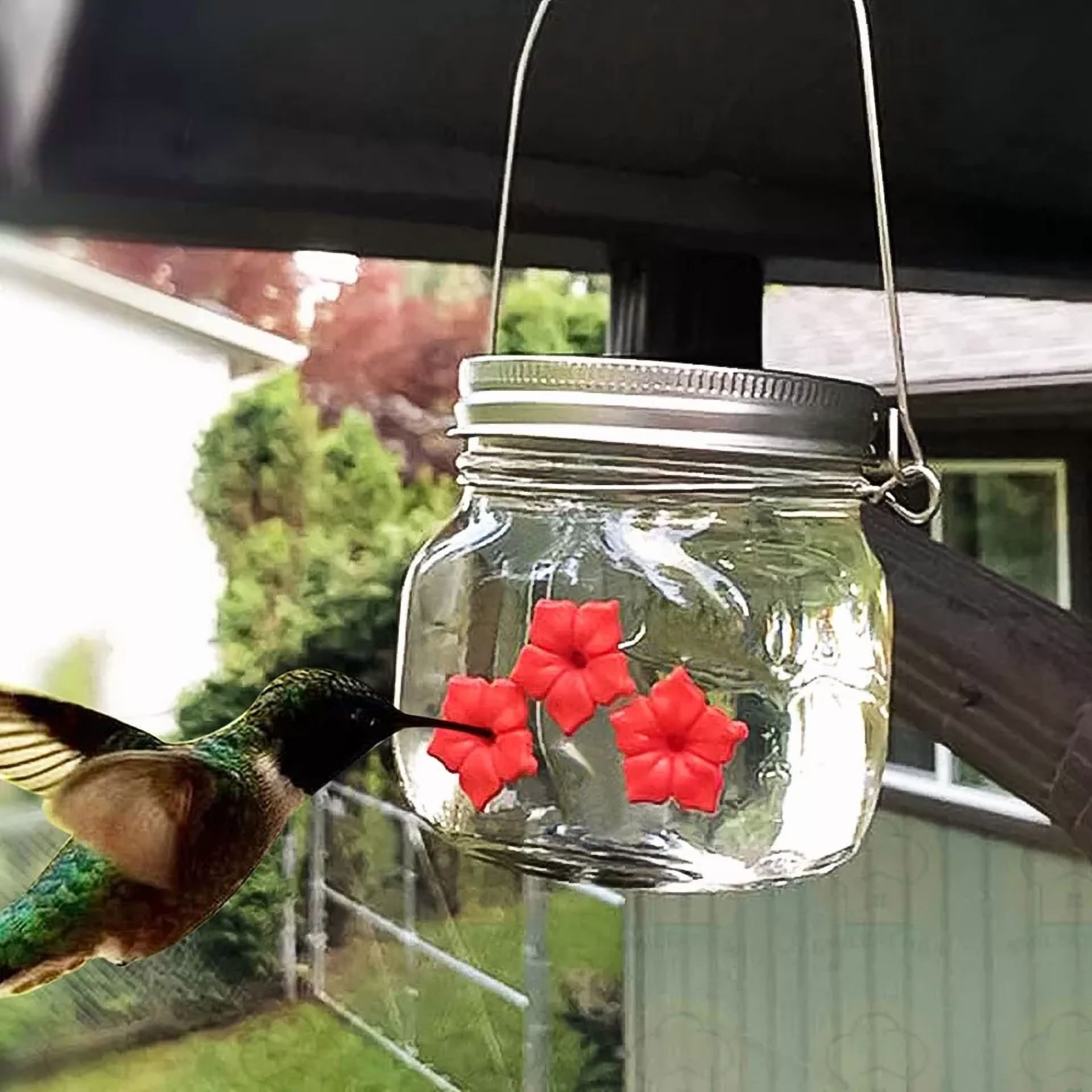 ZYLER- 1Pcs Hummingbird Feeder Mason Jar Portable For Bird Outdoor New