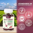 thumbnail image 5 of Beet Root Supplement Gummies 500mg - Superfood with Beetroot Extract Powder Vitamin C & Magnesium - Supports Energy Heart Health & Nitric Oxide Production - Red Beets Supplements Gummy - 60 Gummies, 5 of 11