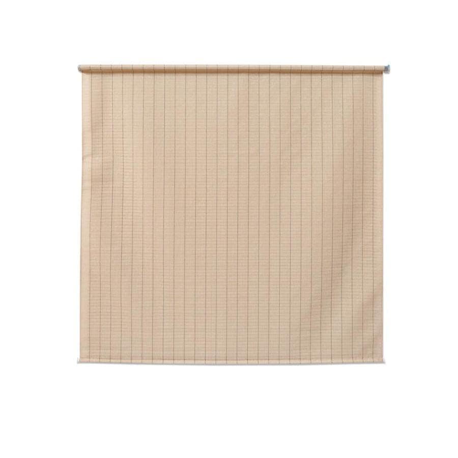 Coolaroo Simple Lift Outdoor Roller Shade; 8x6