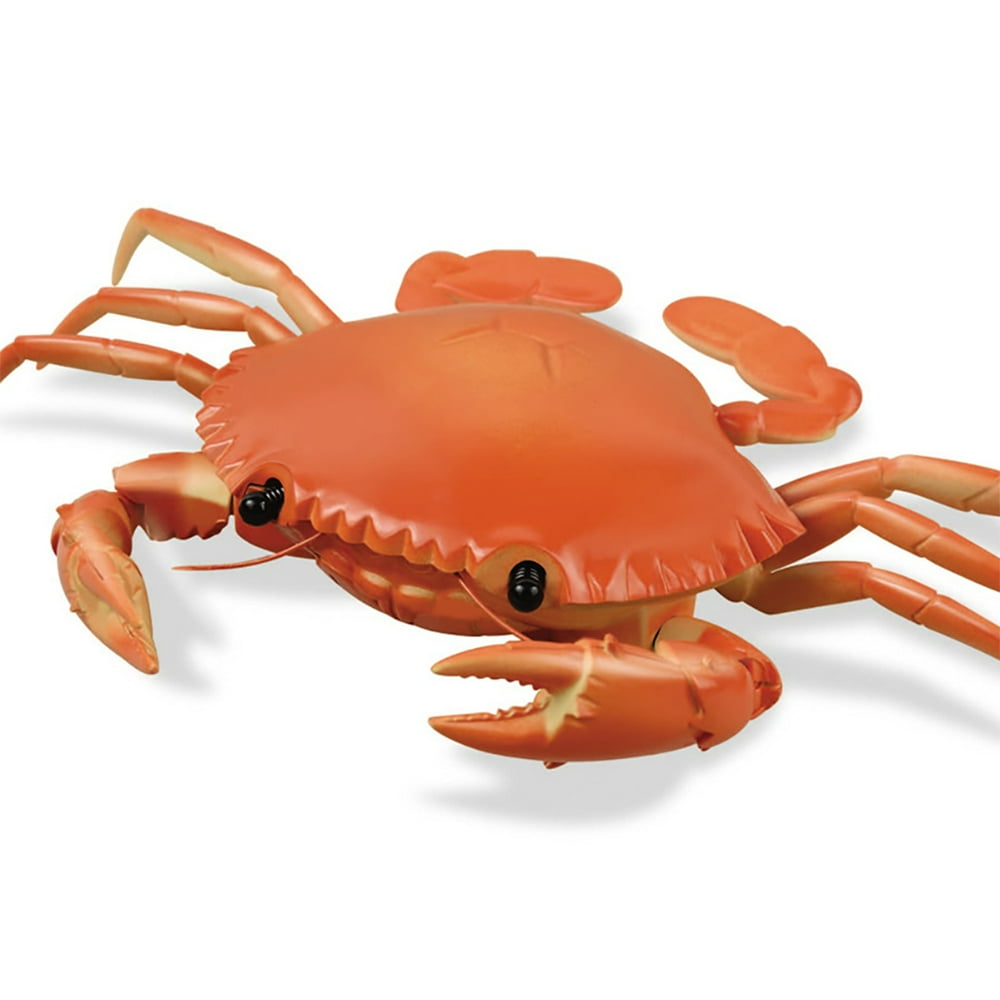 Simulation Model Remote Control Crabs Crawl Toy Electric Educational Toys for Children Color