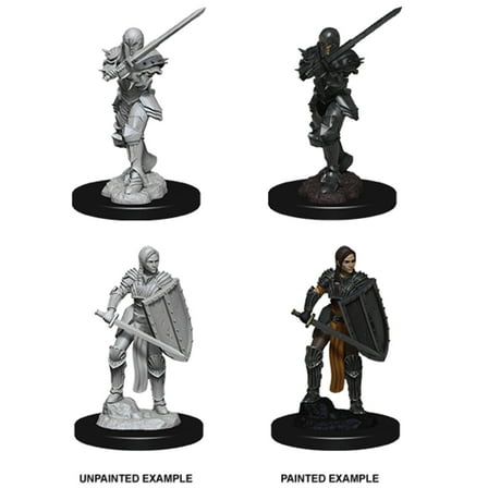 Dungeons and Dragons: Nolzur's Marvelous Unpainted Miniatures Female Human Fighter