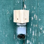 2 pack Carpenter Bee Trap- Hanging Outdoor Trap
