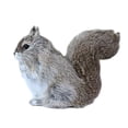 thumbnail image 1 of Zmoon Plush Squirrel, 1 of 7