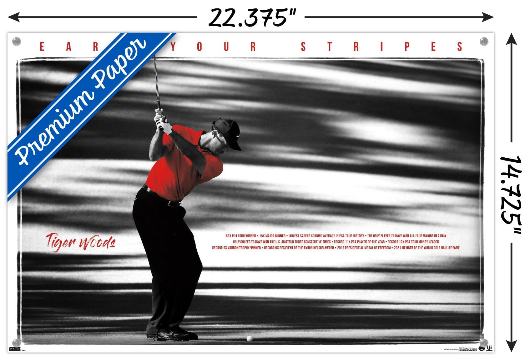 Tiger Woods - Earn Your Stripes Wall Poster with Push Pins, 14.725" x 22.375"